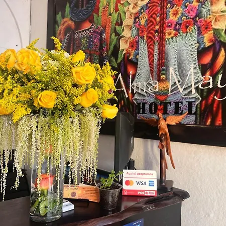 Hotel Alma Maya